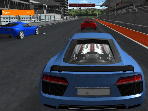 Гонщик 3D
